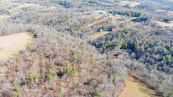 a view of a dry yard