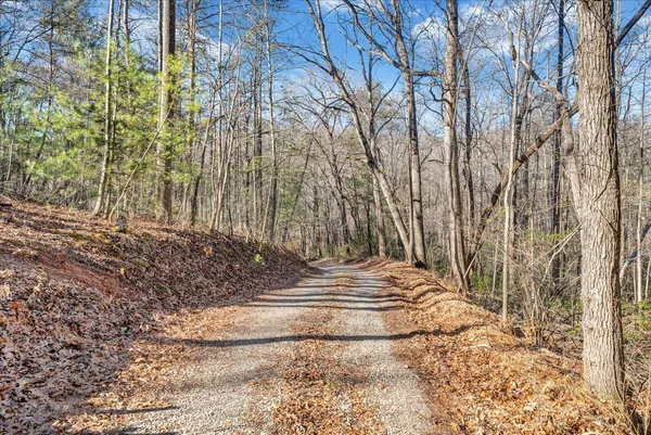 a view of pathway with yard