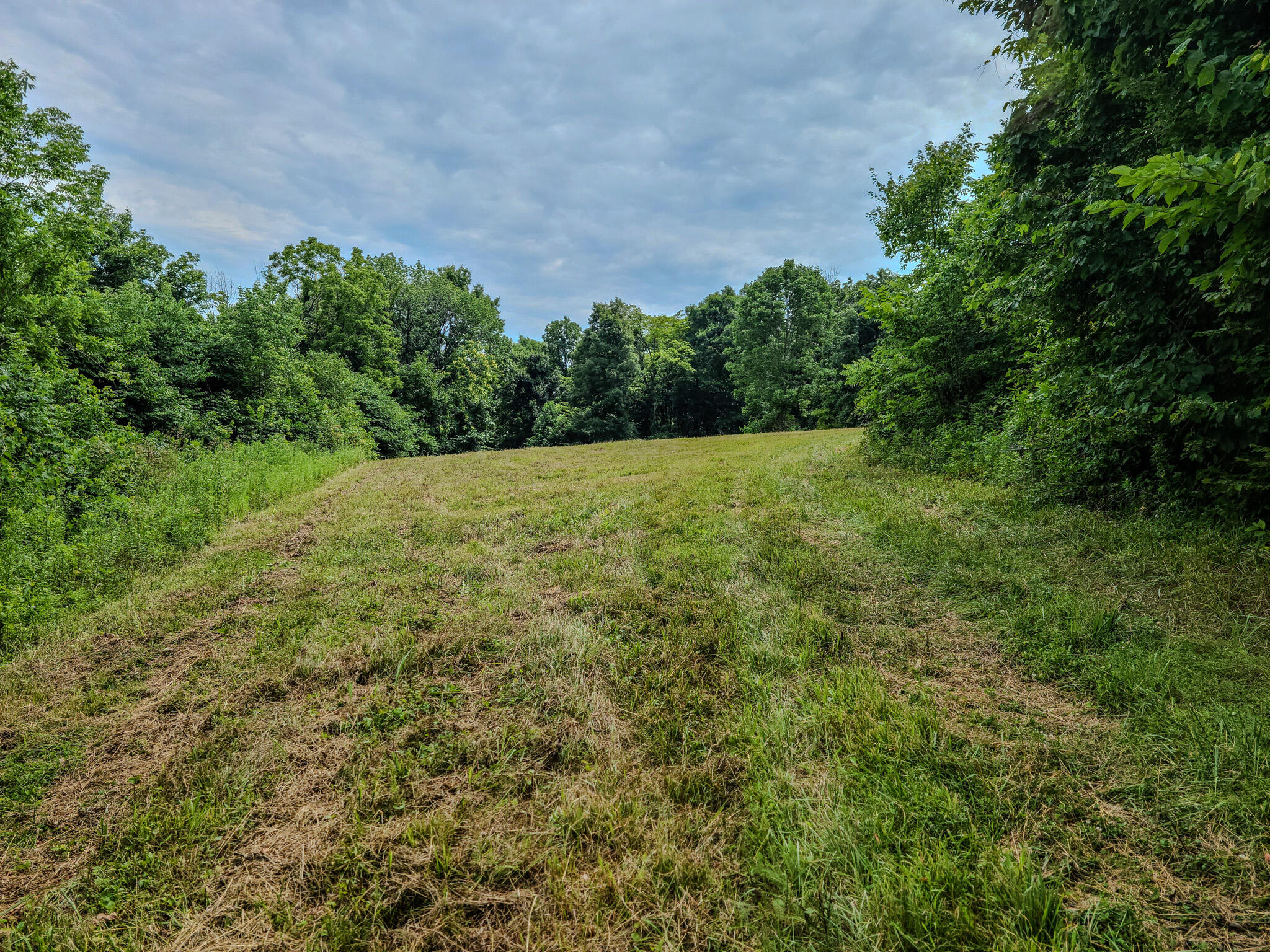 1640 Clear Branch Road Liberty, KY 42539 - Photo 127 of 135 20240706_150752