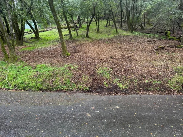 a view of outdoor space and trees