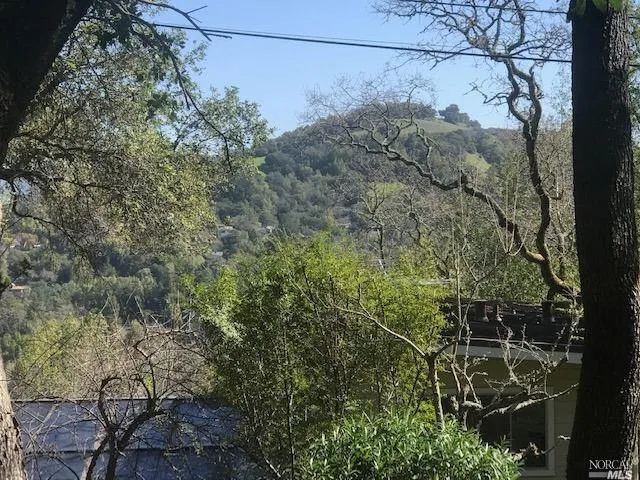 a sign on the side of a tree