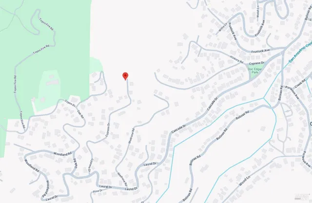 a view of a forest with trees