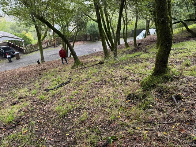 a view of outdoor space with trees