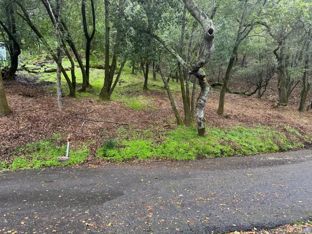 a view of a yard with a tree