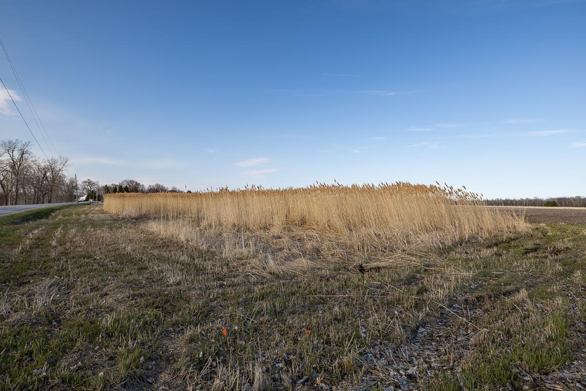 39 West Shore Road Alburgh, VT 05440 - Photo 11 of 24