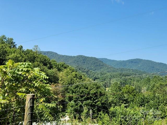 Tbd Tbd Evergreen Road Burnsville, NC 28714 - Photo 4 of 5 a view of a lush green field with a tree in the background