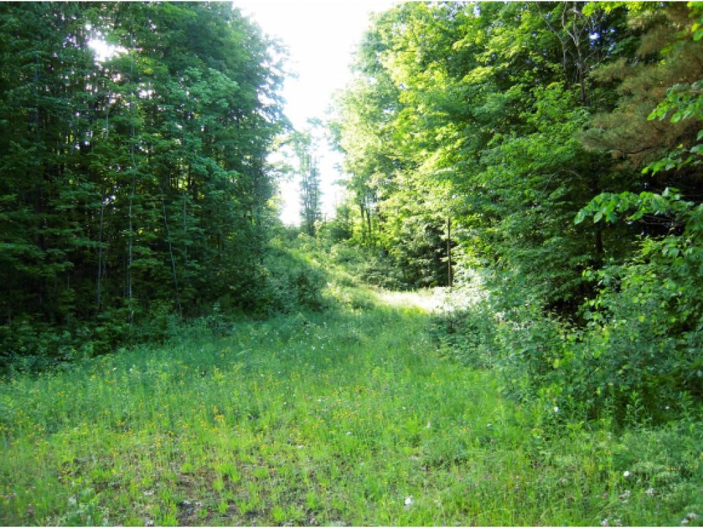 155 Redfield Proctor Road Hartford, VT 05059 - Photo 2 of 2 Gallery Image 2