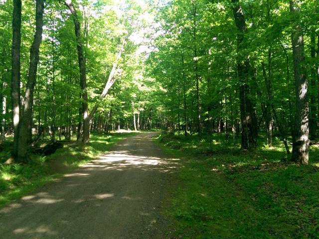 Lot 4 Sugar Bush Road Watersmeet, MI 49969 - Photo 3 of 5 Gallery Image 3