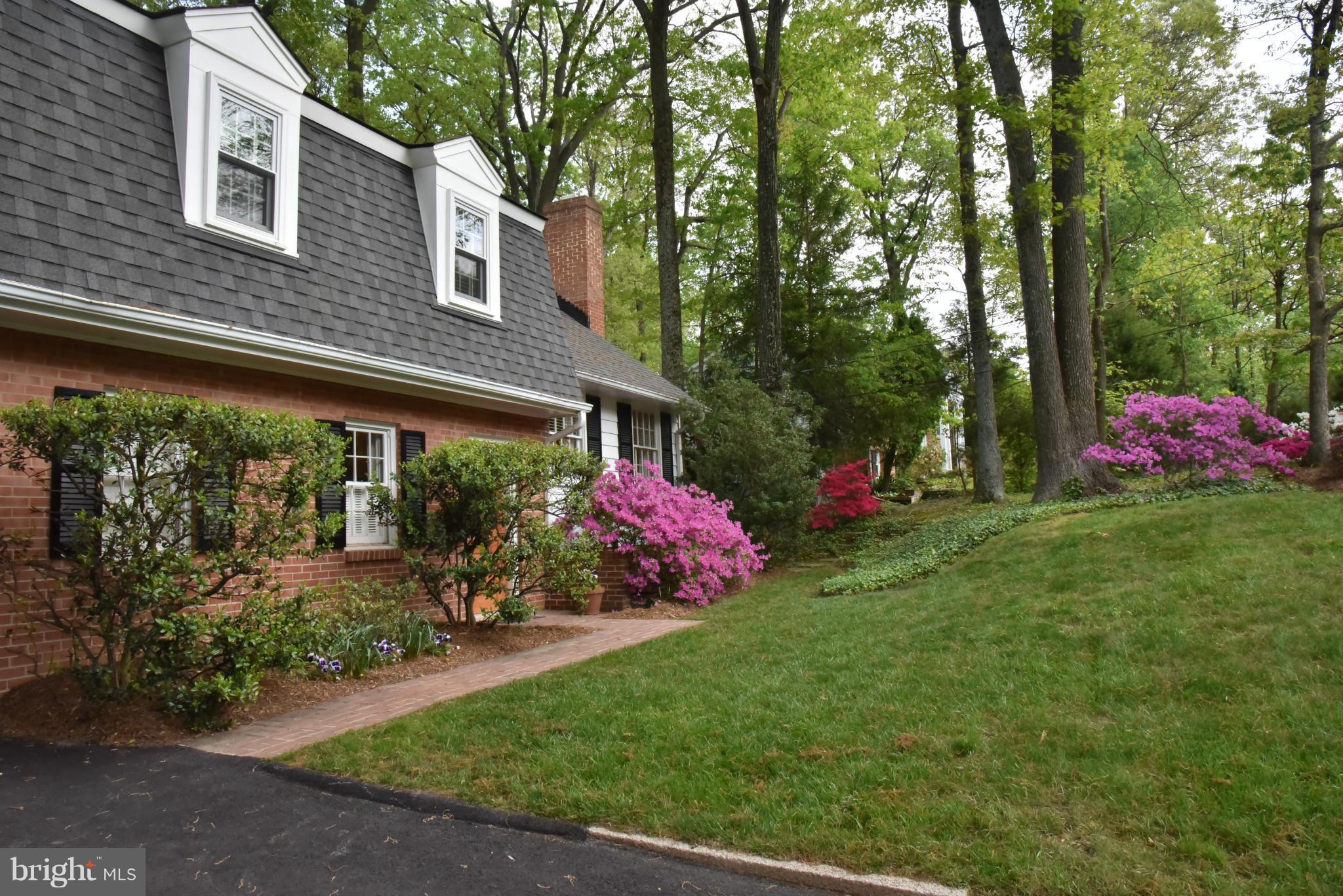 3821 King Arthur Road Annandale, VA 22003 - Photo 2 of 30 a view of a backyard with potted plants and large tree