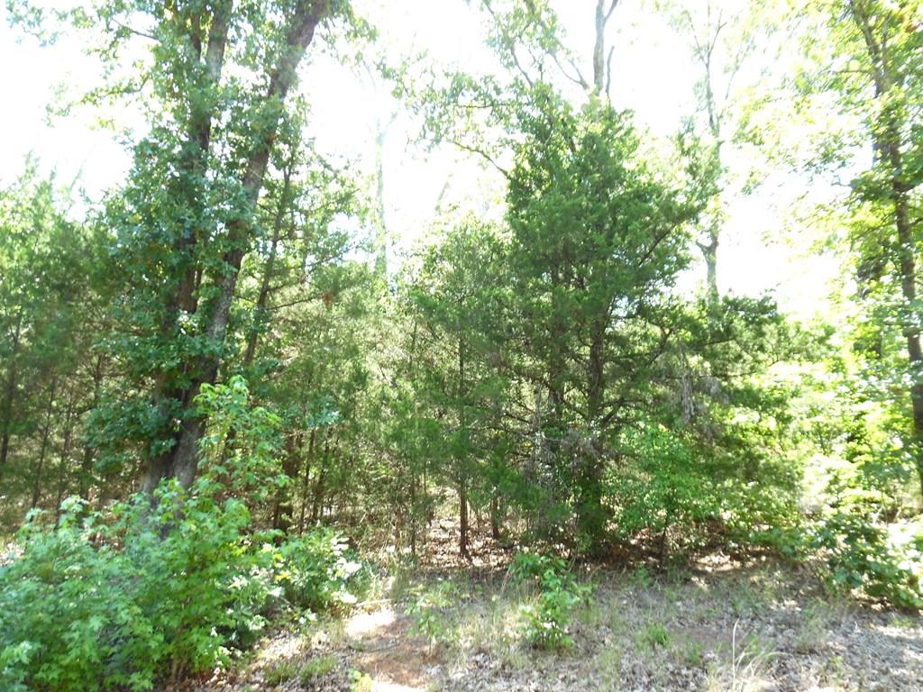 12-tbd Deer Path Murchison, TX 75778 - Photo 1 of 20 Main View