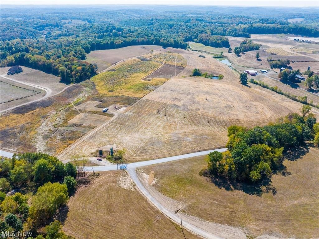 7100 Halo Road Northwest Dellroy, OH 44620 - Photo 6 of 10 Overview of rural landscape featuring rows of crops