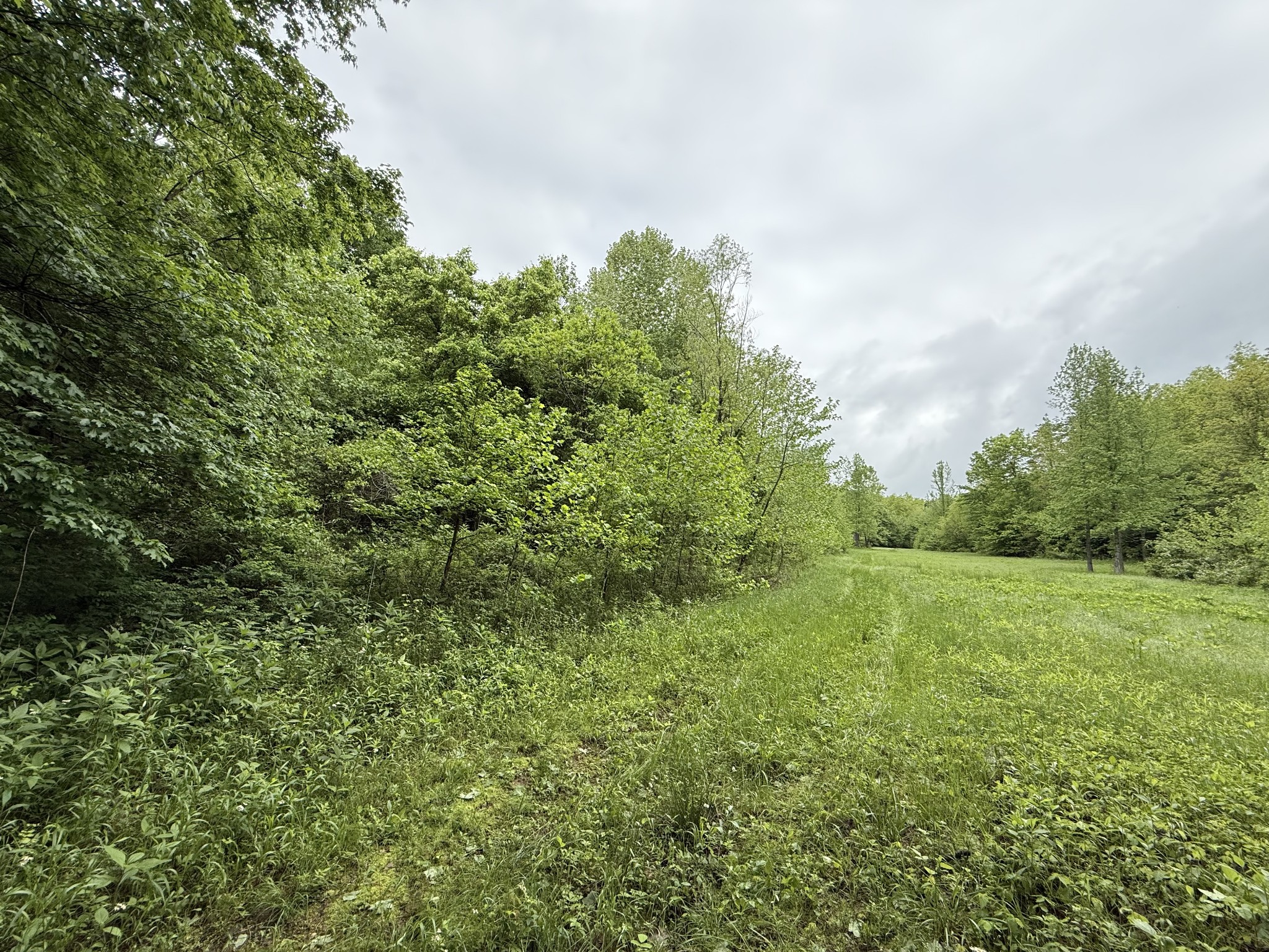 0 Turkey Creek Road Waverly, TN 37185 - Photo 12 of 26 a view of outdoor space and yard