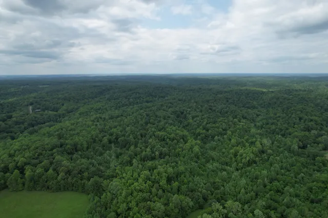 a view of a green field