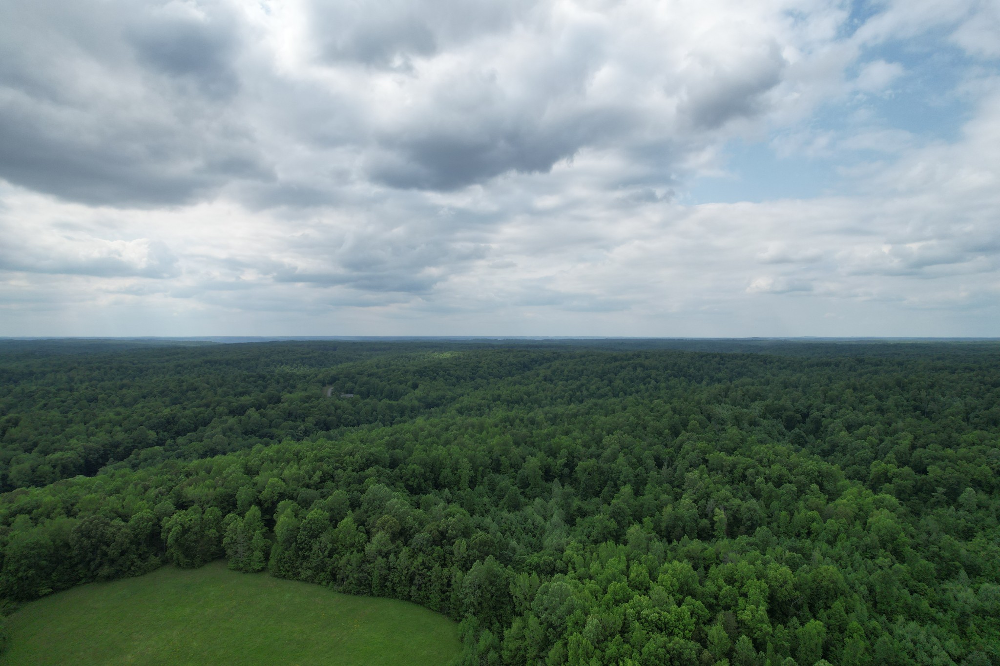 0 Turkey Creek Road Waverly, TN 37185 - Photo 18 of 26 a view of a big yard with lots of bushes