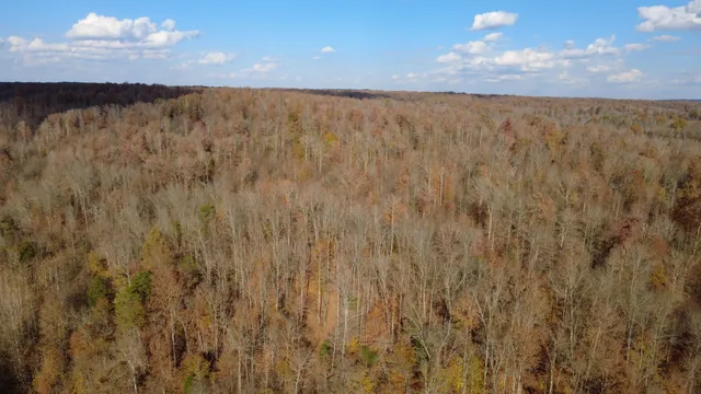a close view of shower and yard