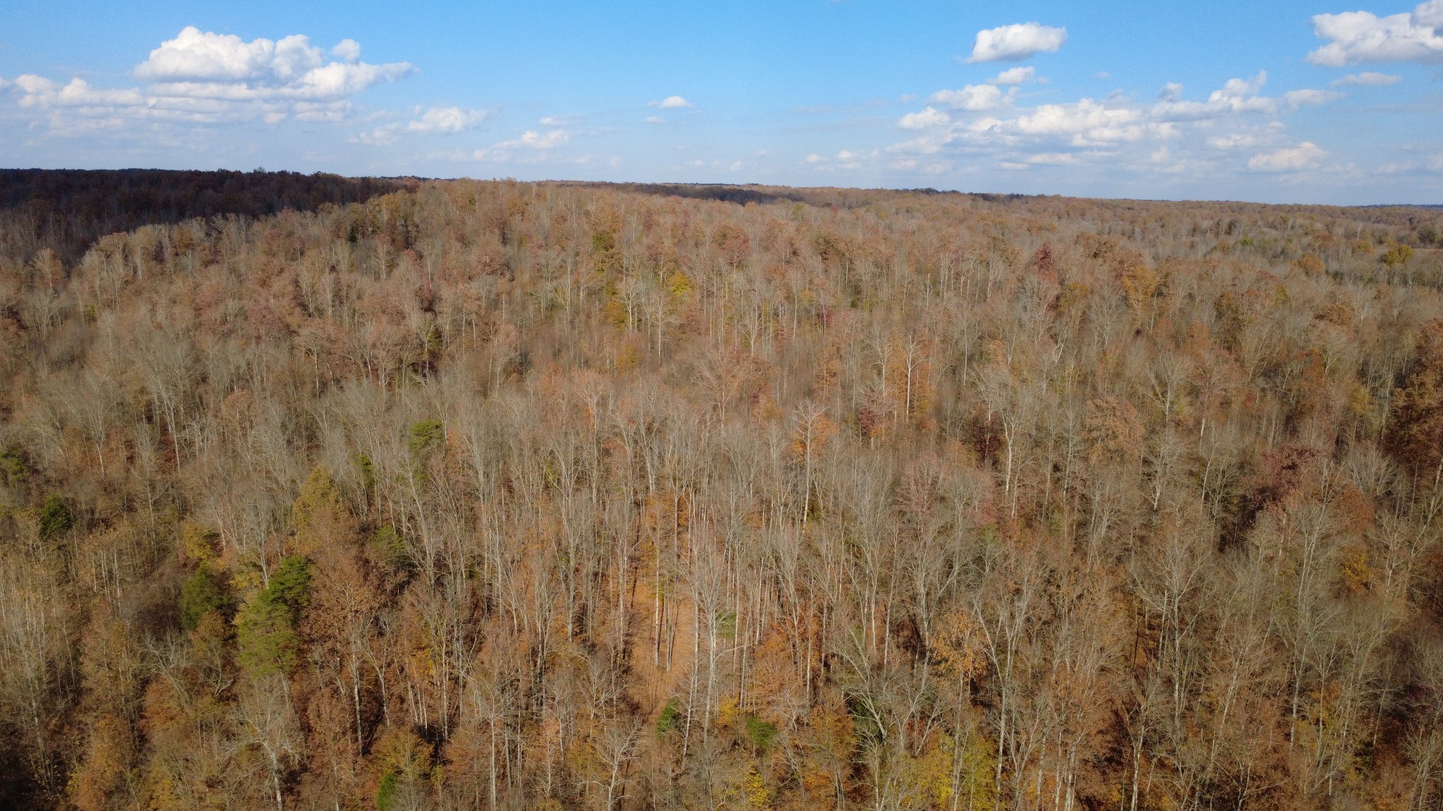 0 Turkey Creek Road Waverly, TN 37185 - Photo 21 of 26