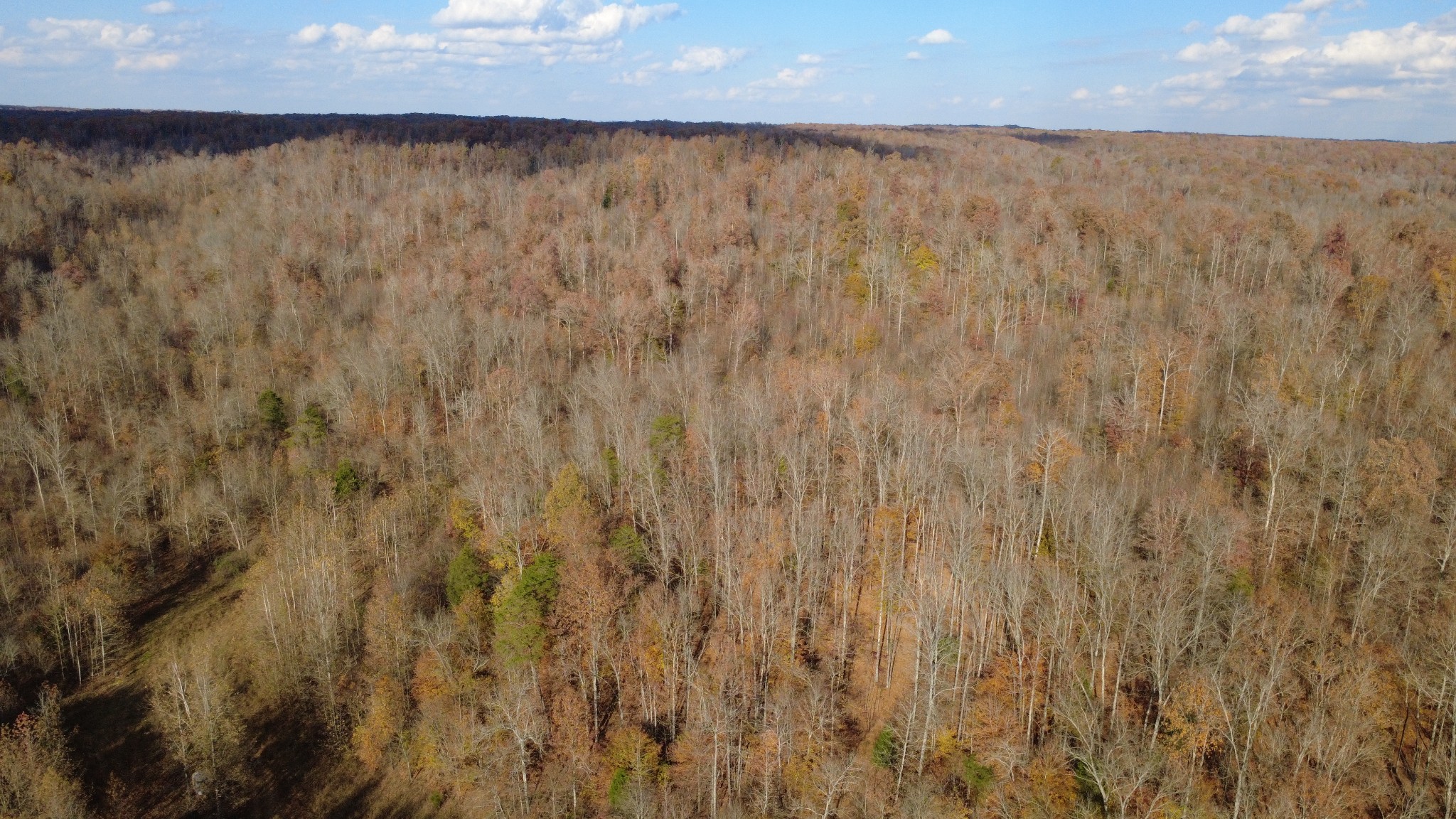 0 Turkey Creek Road Waverly, TN 37185 - Photo 22 of 26 a close view of shower and yard