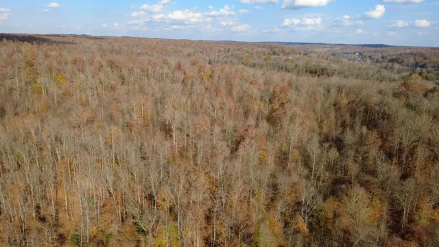 a view of a sky from a yard