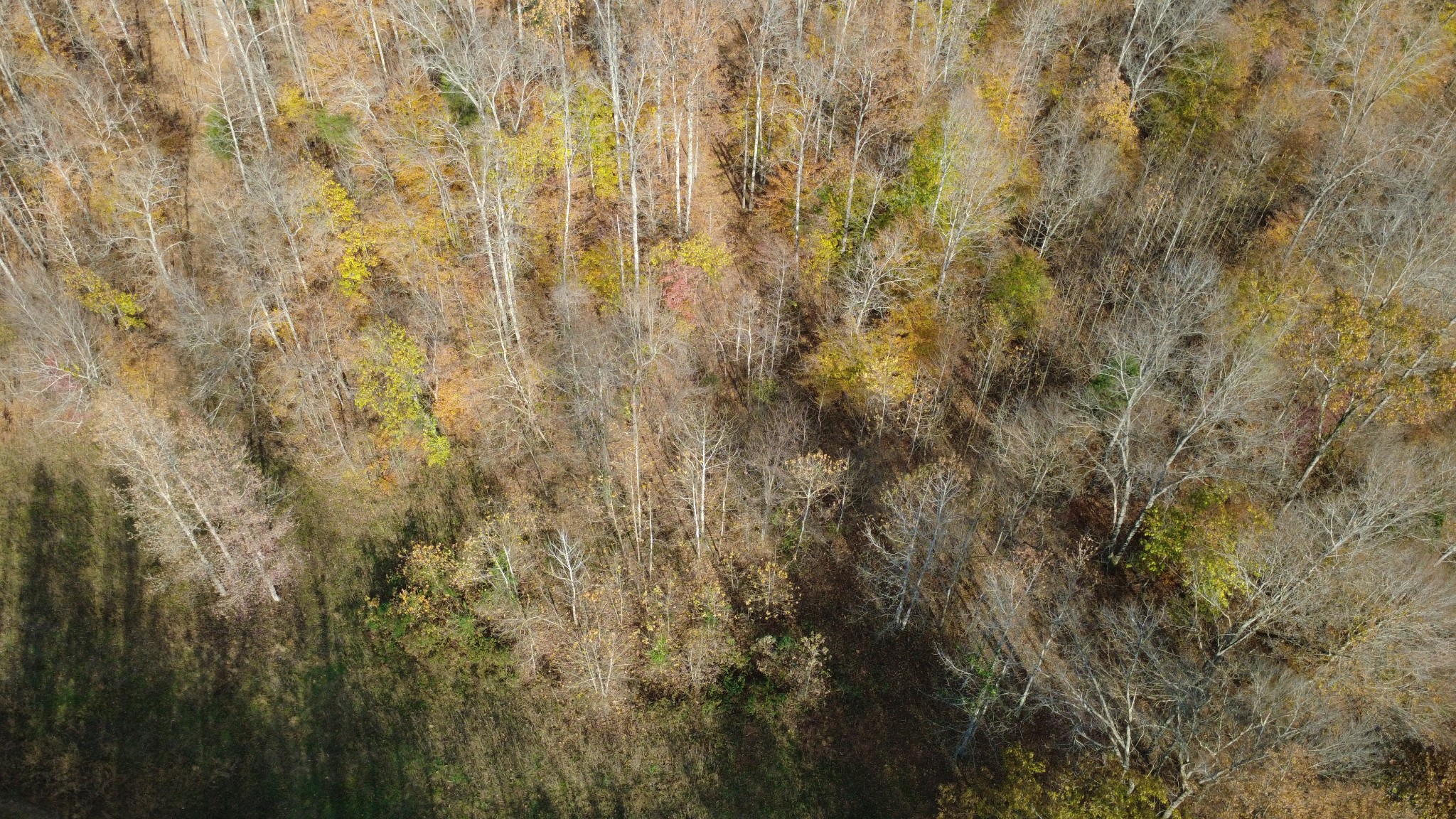 0 Turkey Creek Road Waverly, TN 37185 - Photo 24 of 26