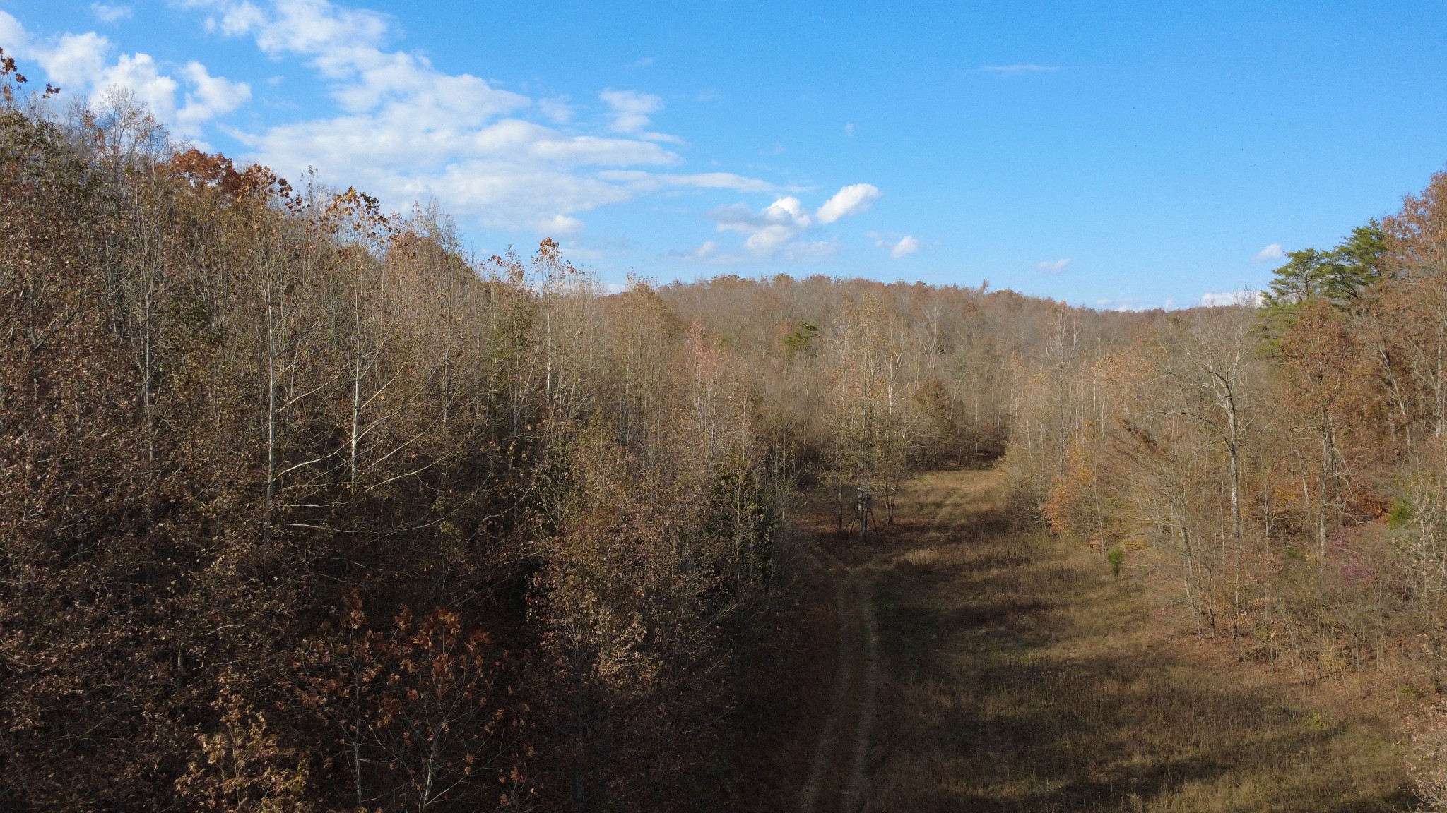 0 Turkey Creek Road Waverly, TN 37185 - Photo 25 of 26 a view of a sky from a yard