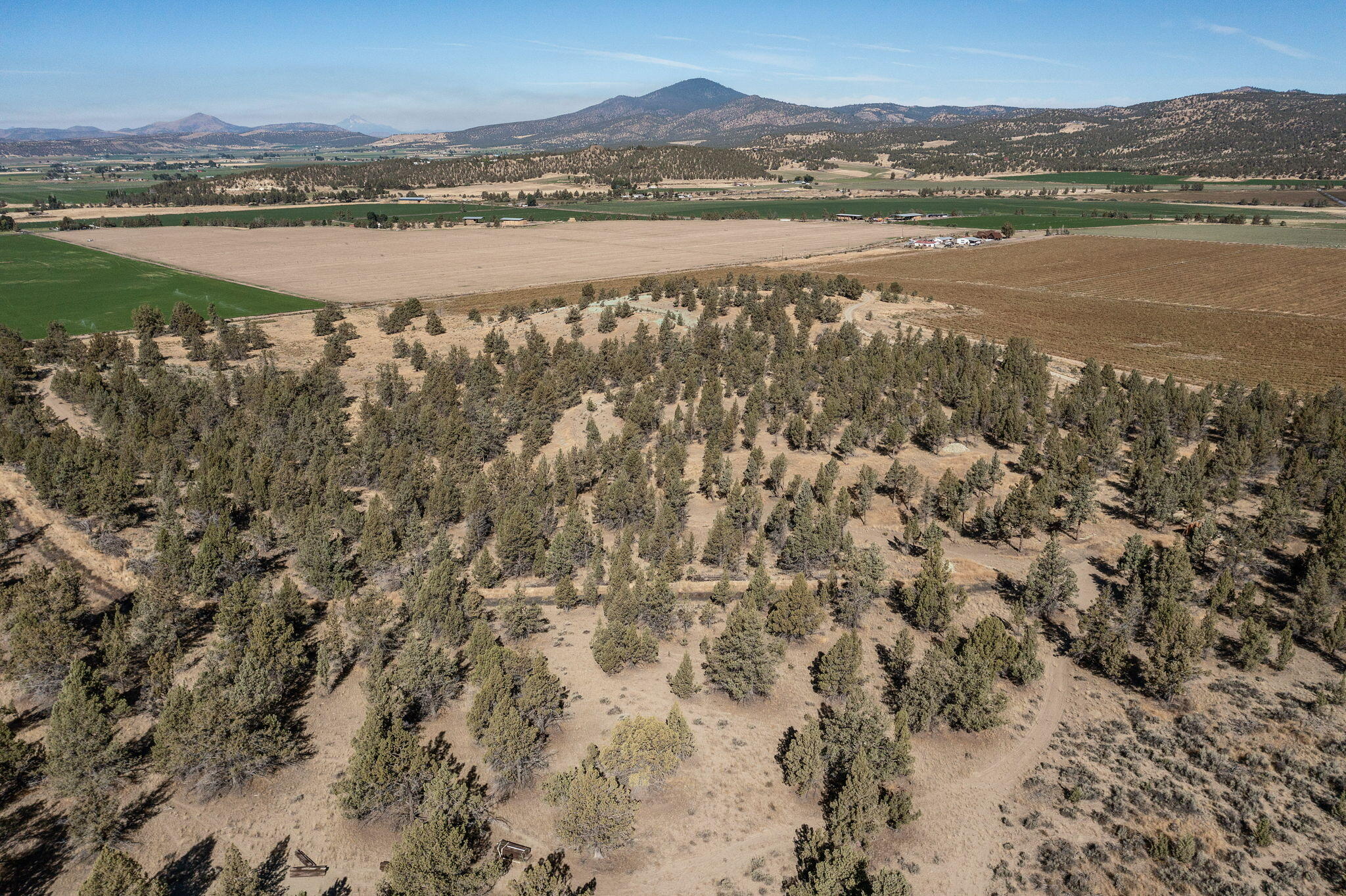 5598 North Mckay Road Prineville, OR 97754 - Photo 20 of 81 IMG_5853