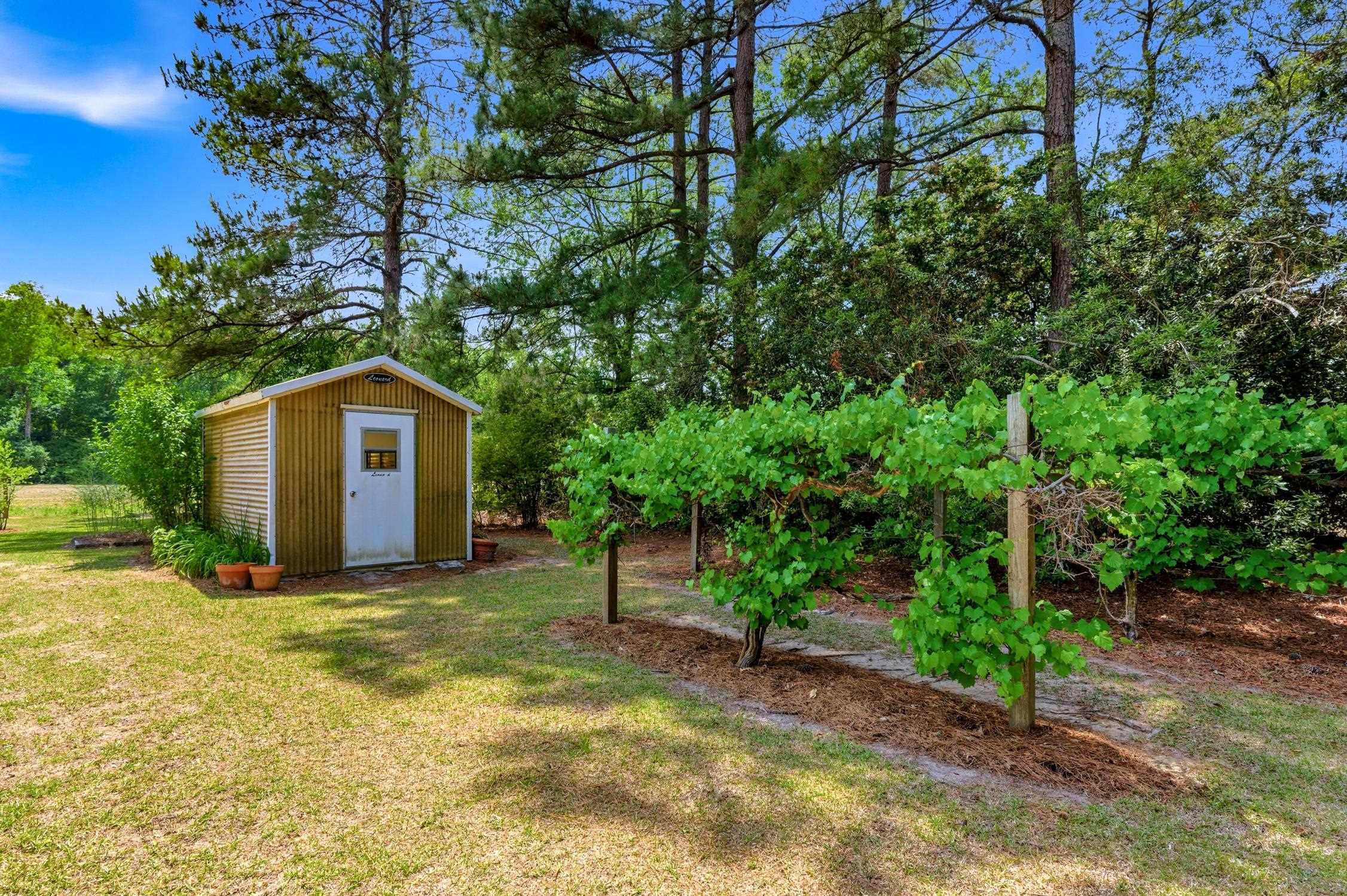 902 Grange Road Aynor, SC 29511 - Photo 47 of 70