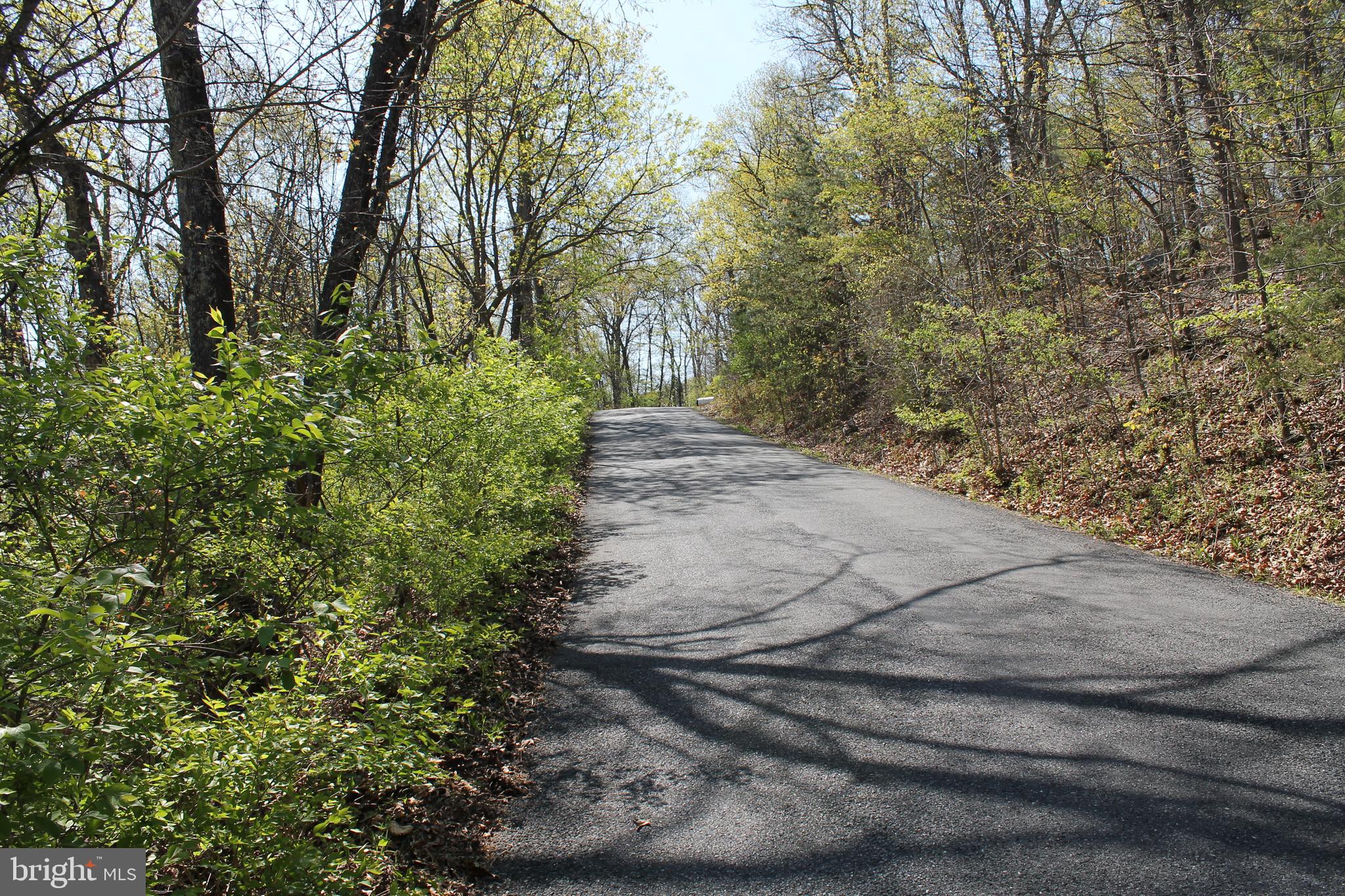 Hillandale Road Front Royal, VA 22630 - Photo 4 of 11 paved street