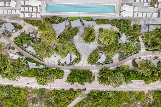 a view of a bunch of plants and flowers