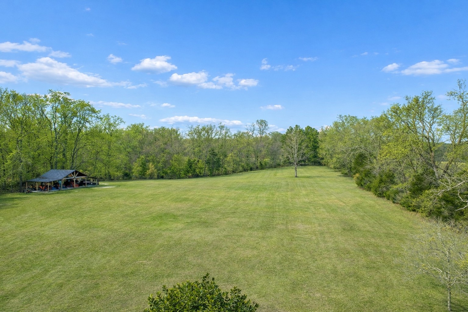 225 Lake Hills Road Tullahoma, TN 37388 - Photo 70 of 82 a view of a big yard with swimming pool and green space