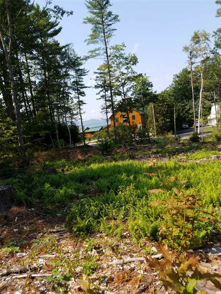 28 Echo Acres Road, Unit 28 Conway, NH 03860 - Photo 2 of 5 Gallery Image 2
