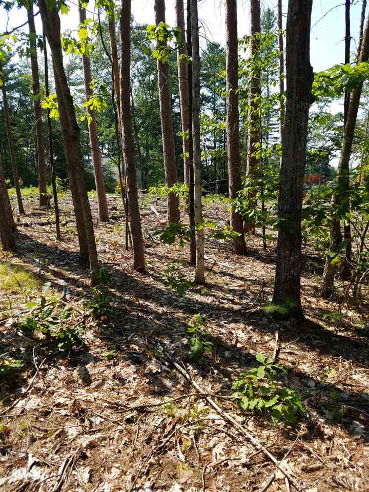 28 Echo Acres Road, Unit 28 Conway, NH 03860 - Photo 5 of 5 Gallery Image 5