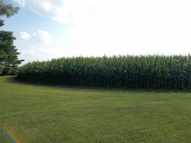 31599 Penrose Road Sterling, IL 61081 - Photo 5 of 22