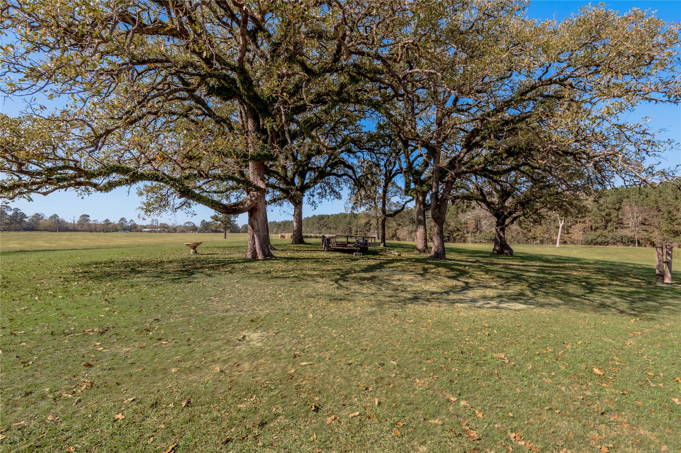 5316 Highway 19 Trinity, TX 75862 - Photo 18 of 34