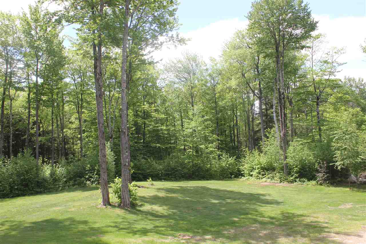 879 Marsh Hill Road Andover, VT 05143 - Photo 3 of 37