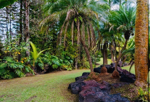 16-1339 Ao Rd Mountain View Mountain View, HI 96771 - Photo 22 of 24 a view of backyard with green space