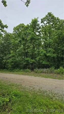 $10,500 | 1548 Astrid Loop, Edwards, MO 65326