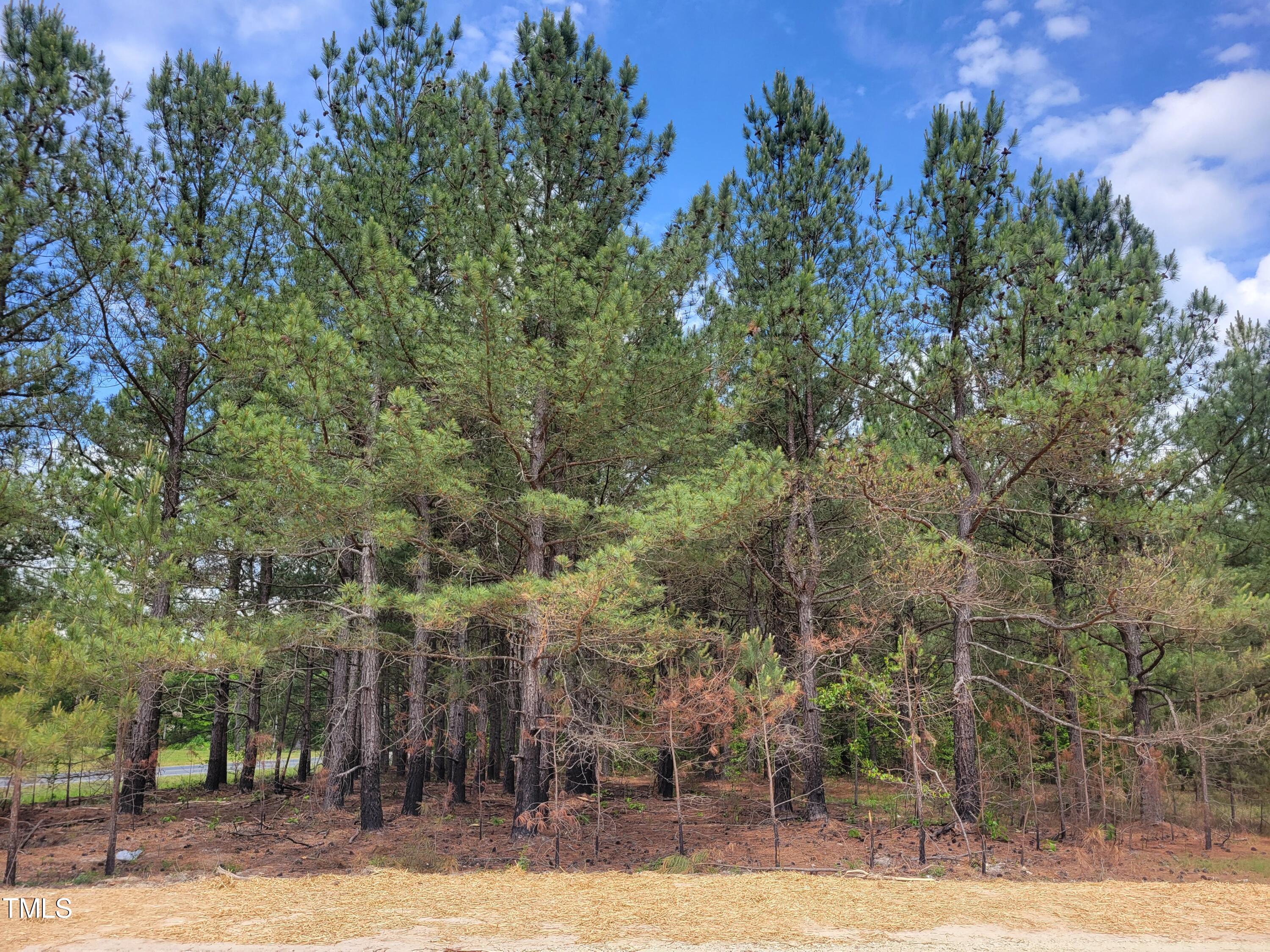 421 Old 421 Road Julian, NC 27283 - Photo 14 of 15 a view of a house with a tree