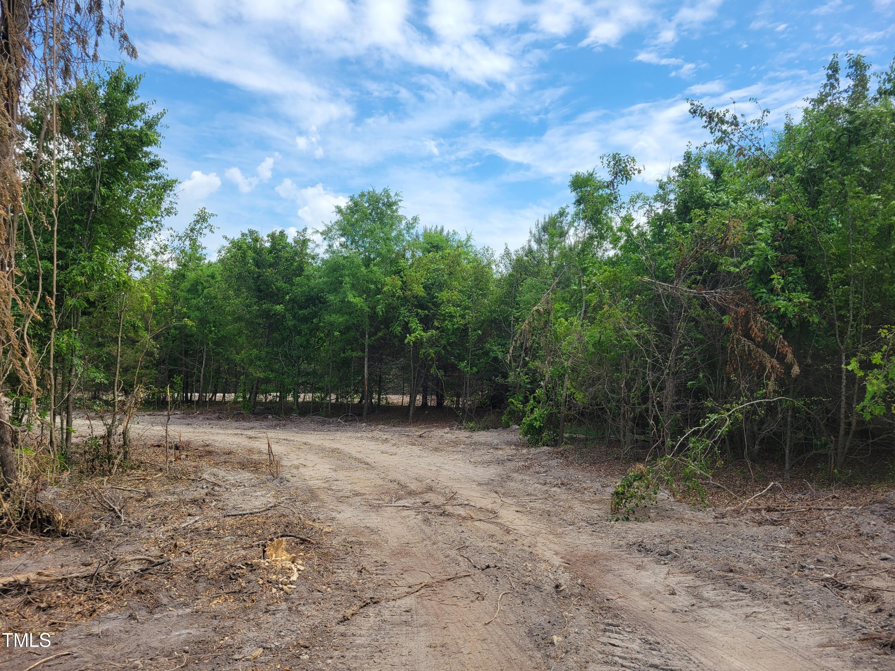 421 Old 421 Road Julian, NC 27283 - Photo 8 of 15 a view of outdoor space with trees