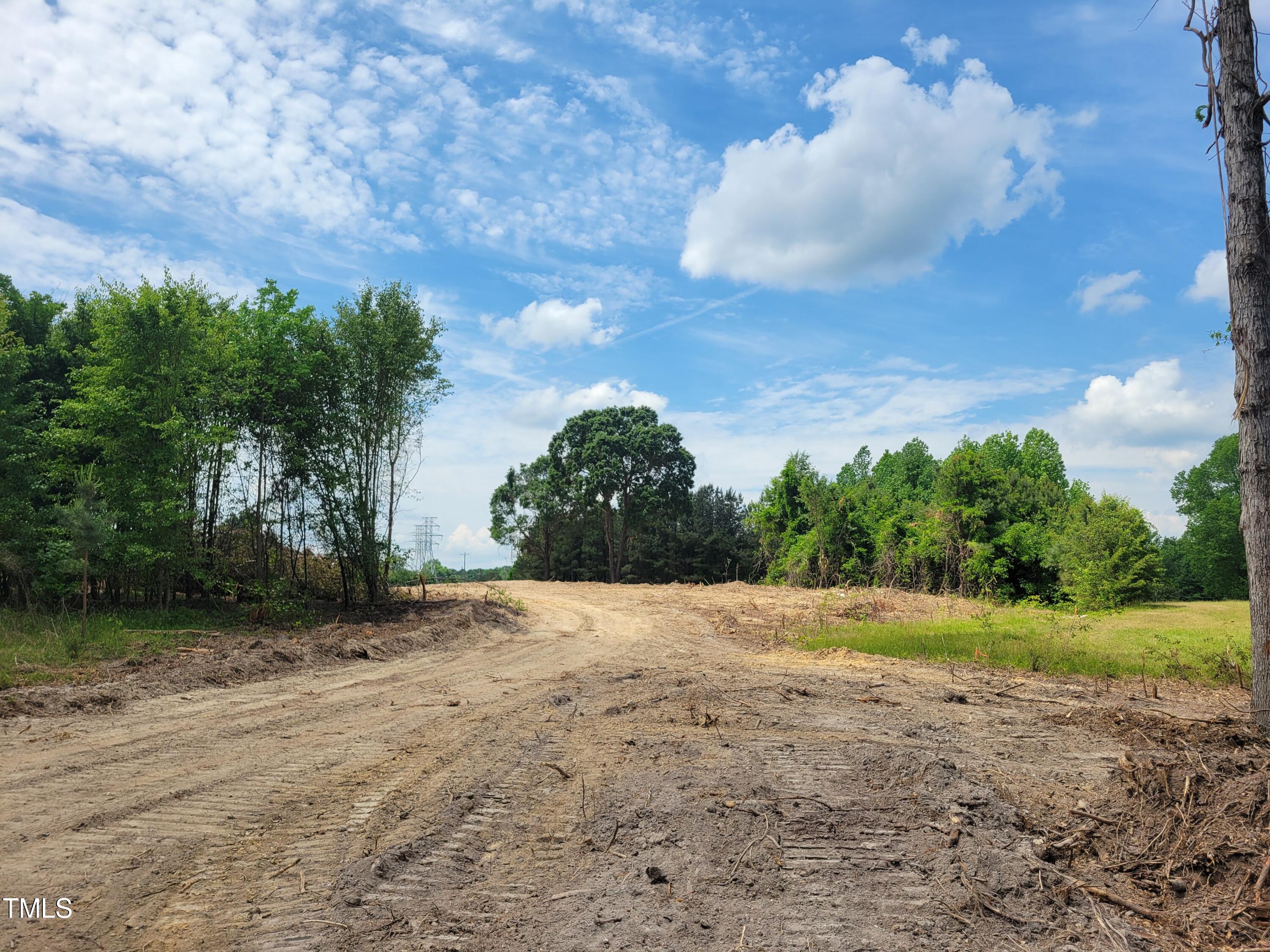 421 Old 421 Road Julian, NC 27283 - Photo 9 of 15 a view of a yard with a tree