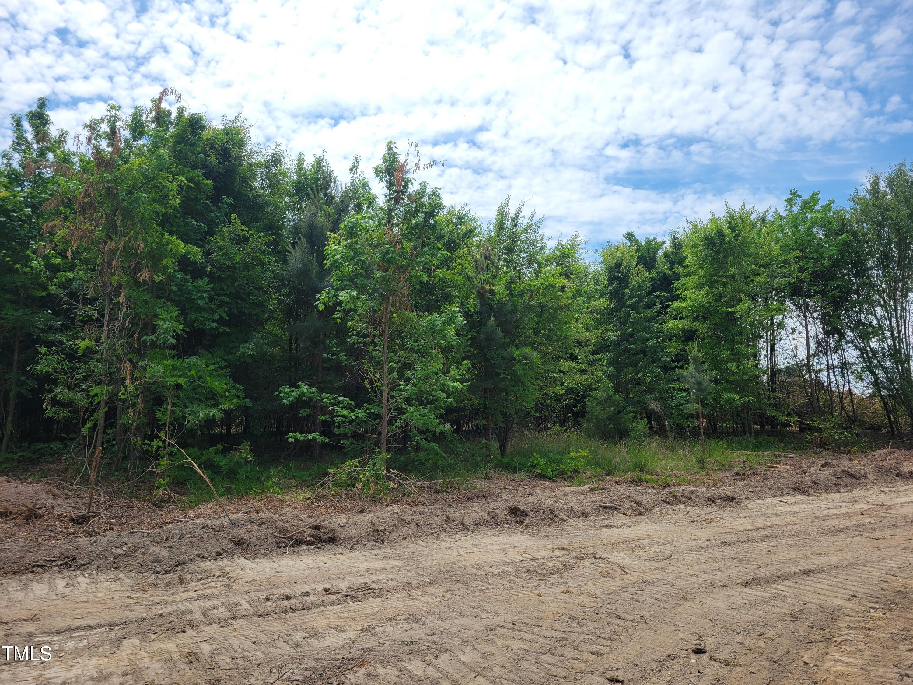 421 Old 421 Road Julian, NC 27283 - Photo 10 of 15 a view of a out door space