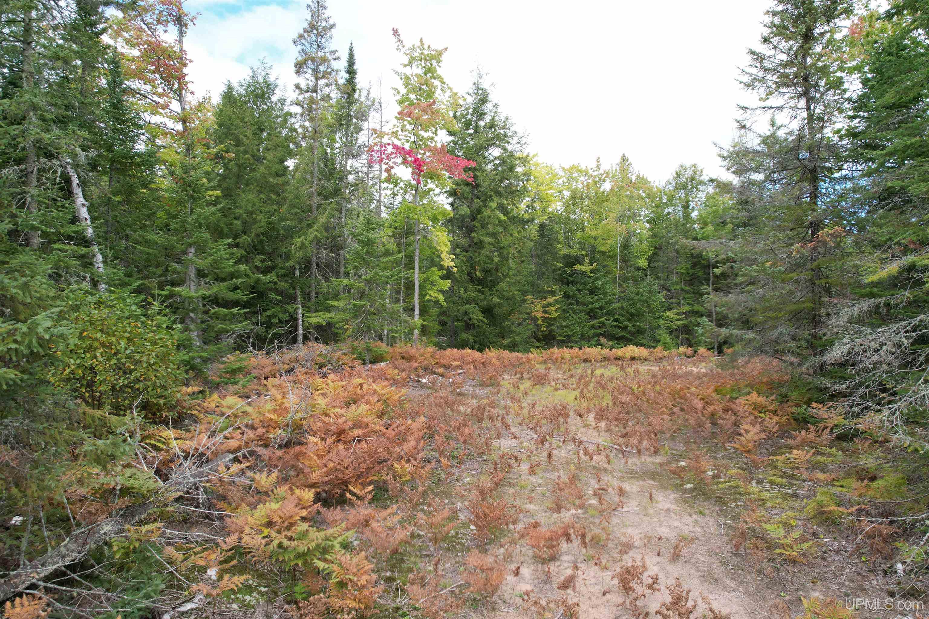 Tbd Evergreen Road Toivola, MI 49965 - Photo 24 of 62