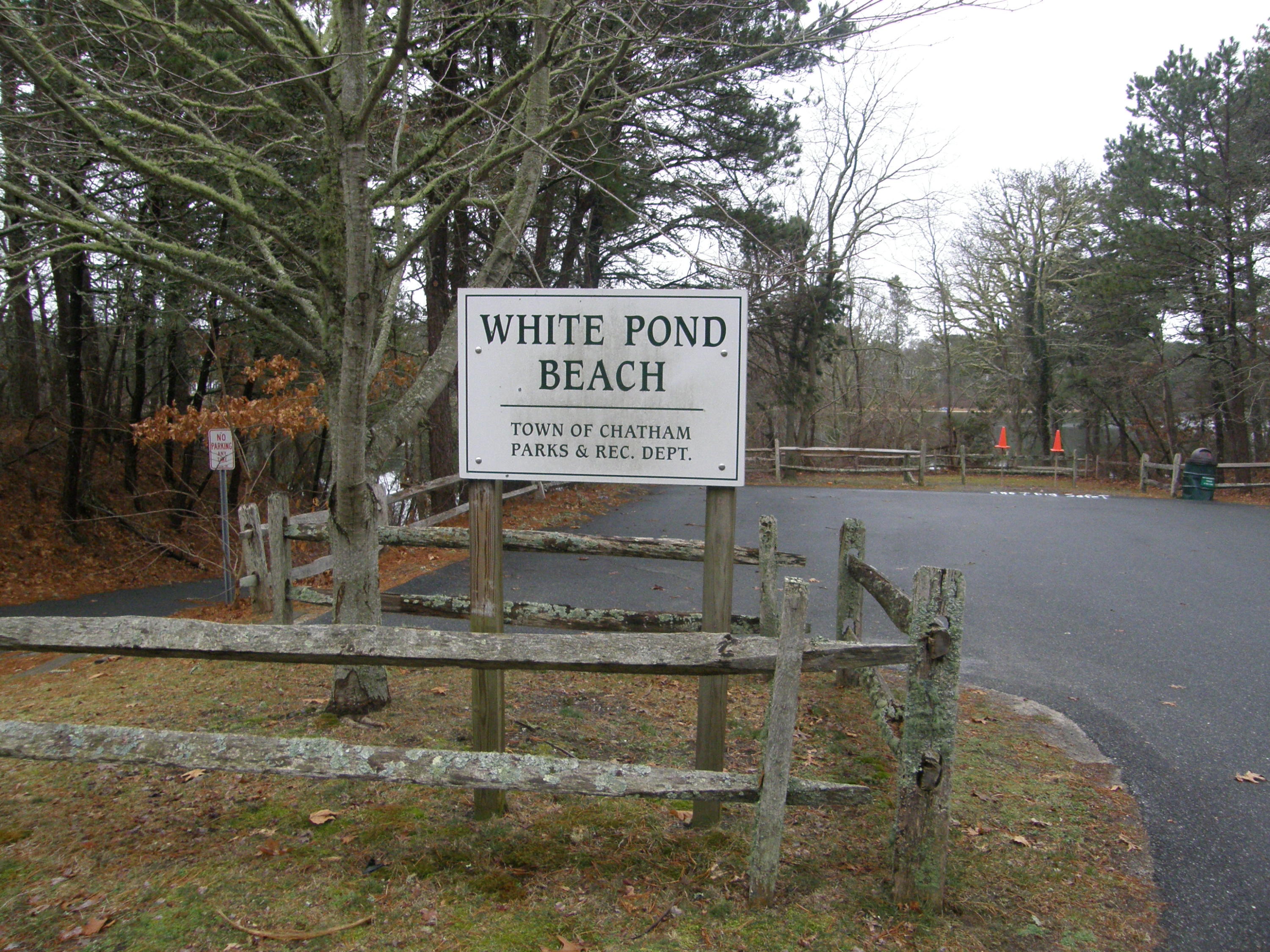 20 Wilfred Road Chatham, MA 02633 - Photo 16 of 17 020 - Copy