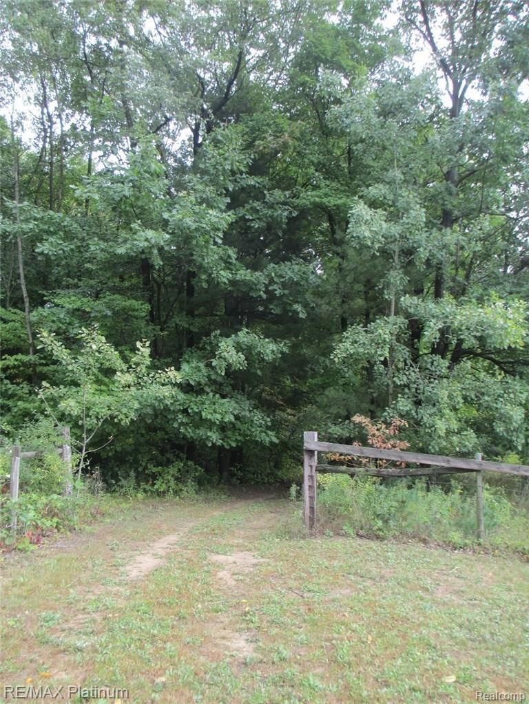 14416 Tuscola Road Clio, MI 48420 - Photo 59 of 85 IMG_6677.JPG