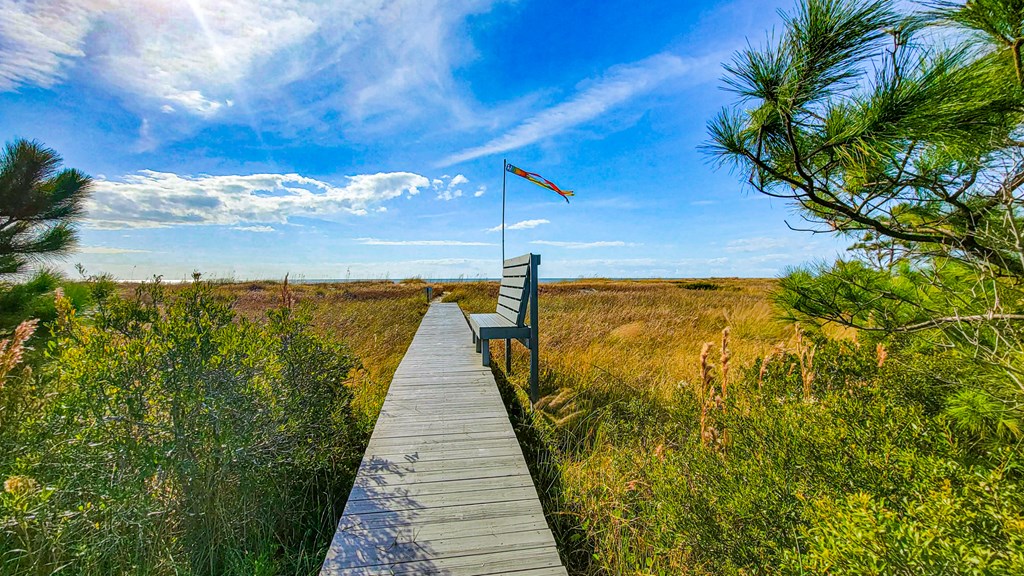 Lot 6 Mccosh Mill Rd Cape Port St. Joe, FL 32456 - Photo 13 of 50