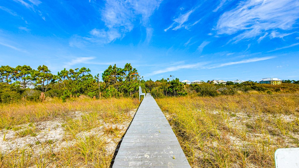 Lot 6 Mccosh Mill Rd Cape Port St. Joe, FL 32456 - Photo 15 of 50