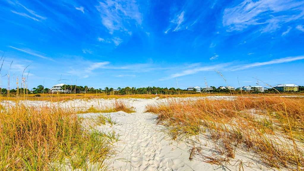 Lot 6 Mccosh Mill Rd Cape Port St. Joe, FL 32456 - Photo 16 of 50