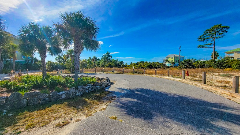 Lot 6 Mccosh Mill Rd Cape Port St. Joe, FL 32456 - Photo 4 of 50