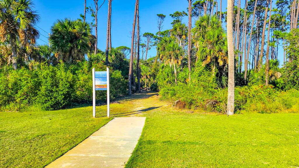 Lot 6 Mccosh Mill Rd Cape Port St. Joe, FL 32456 - Photo 42 of 50