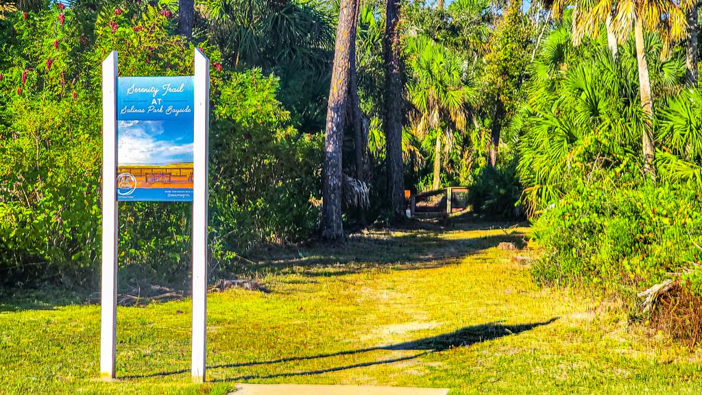 Lot 6 Mccosh Mill Rd Cape Port St. Joe, FL 32456 - Photo 43 of 50