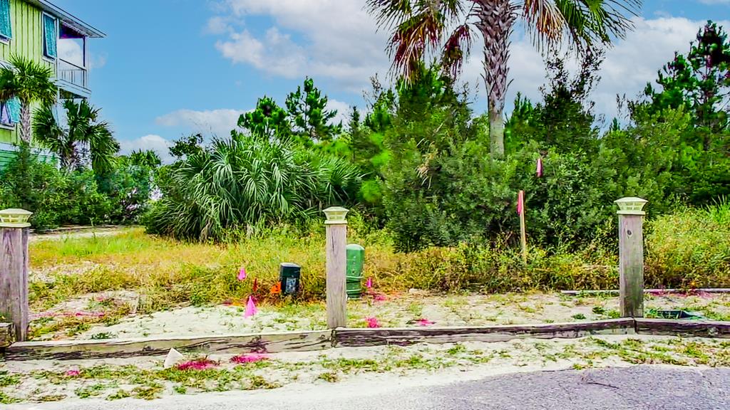 Lot 6 Mccosh Mill Rd Cape Port St. Joe, FL 32456 - Photo 6 of 50